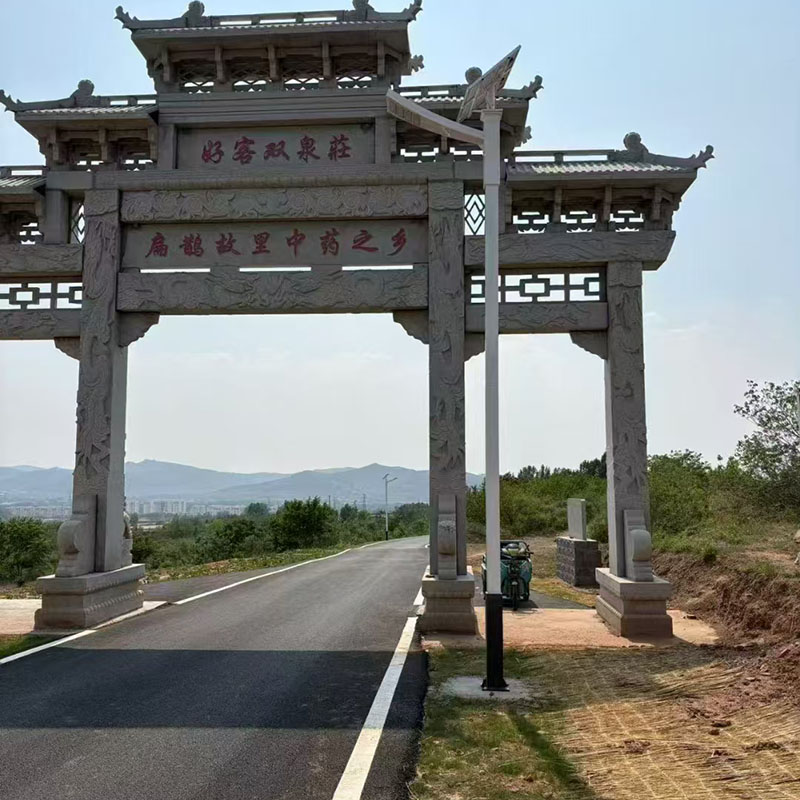 陇南8米太阳能路灯生产厂家