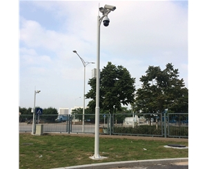 陇南道路监控杆-LB-05