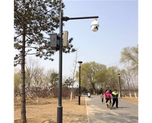 陇南小区监控杆-LB-02
