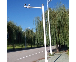 陇南监控杆-LB-01