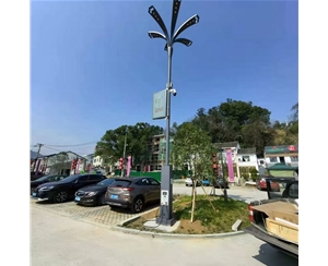 陇南太阳能路灯安装价格
