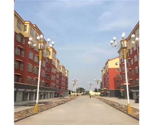 陇南中华灯批发